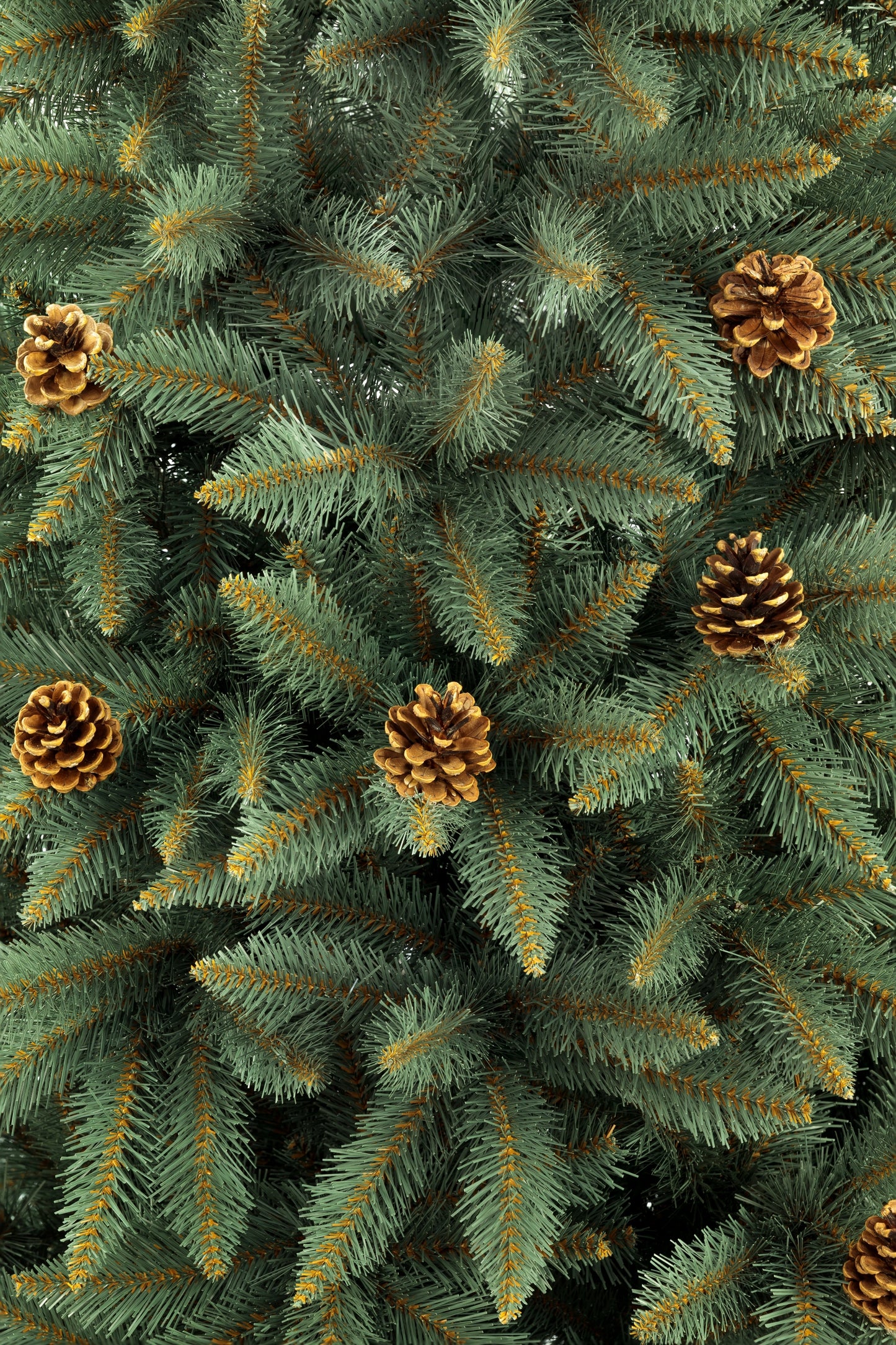 Graži, tanki dirbtinė eglė Sidabrinis eglės modelis su natūraliomis kankorėžiais 220 cm