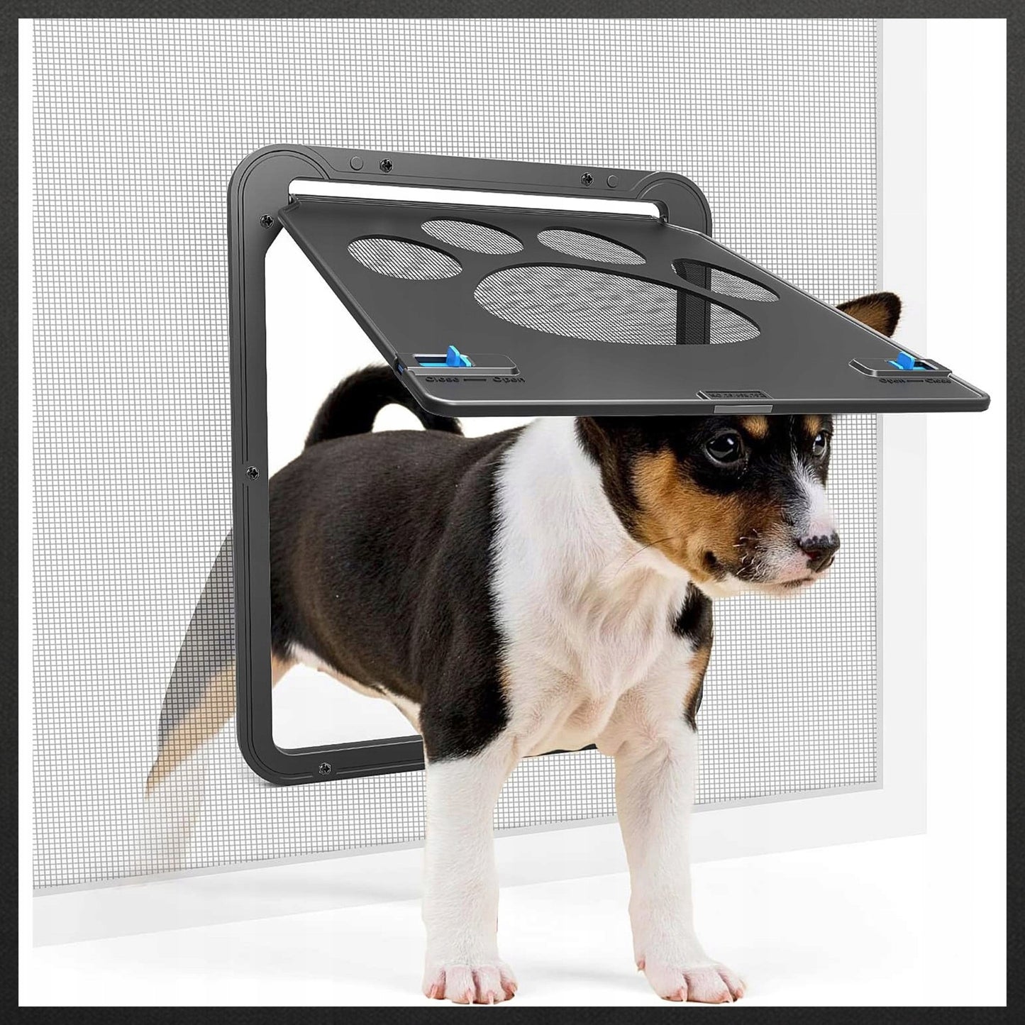 DURKĖS SU SKRAIDYKLĖMIS IR TUNELIU ŠUNIMS KATĖMS