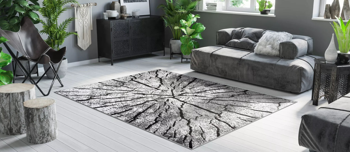 DYWAN 250x300 BCF LUXURY Švelnus Šiuolaikiniai Raštai