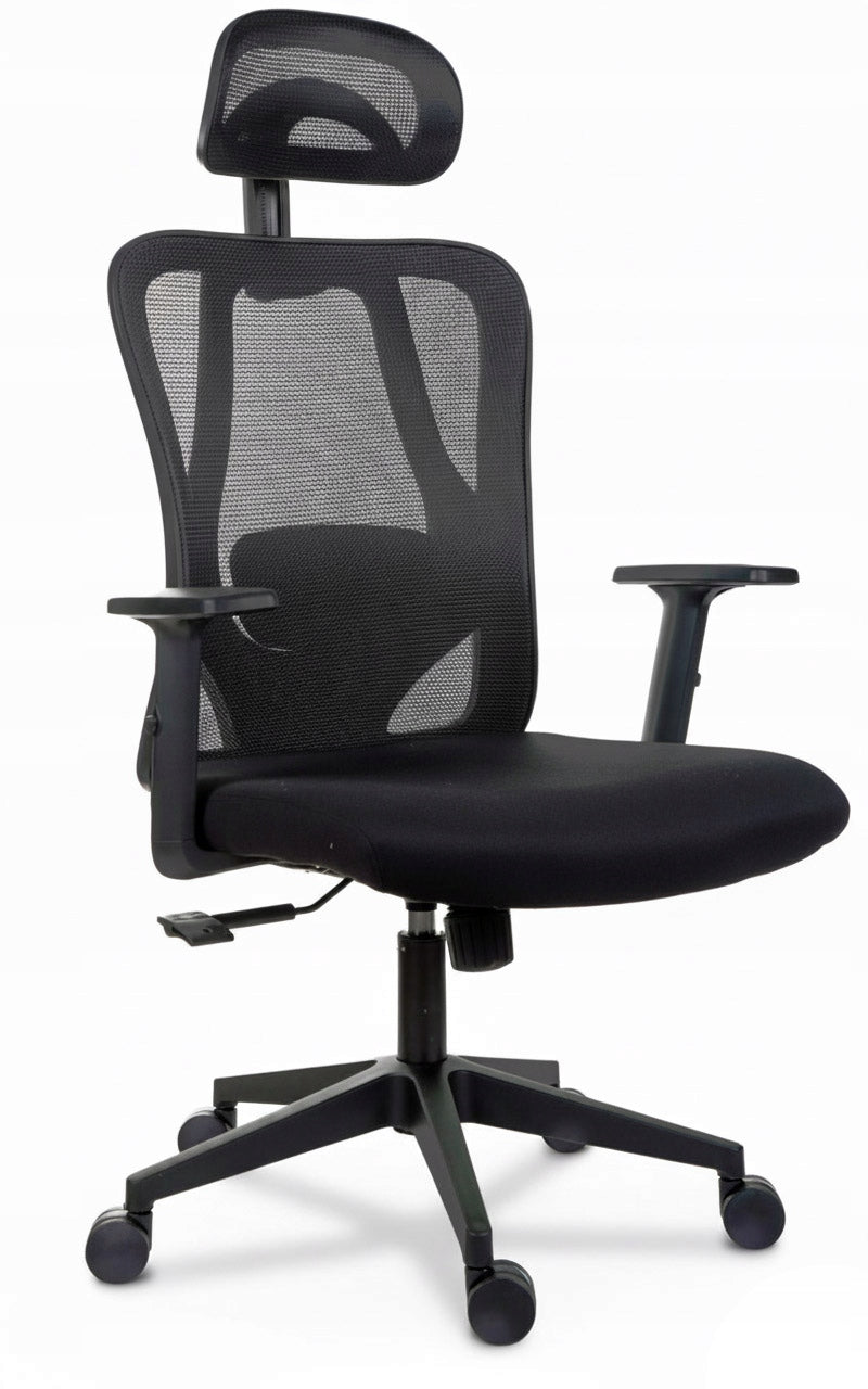 Ergonomiška biuro kėdė FXB004 su reguliuojamais porankiais ir galvos atrama, BHP