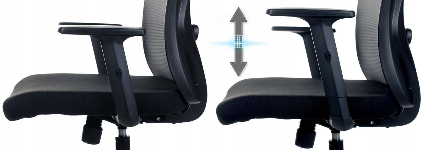 Ergonomiška biuro kėdė FXB004 su reguliuojamais porankiais ir galvos atrama, BHP