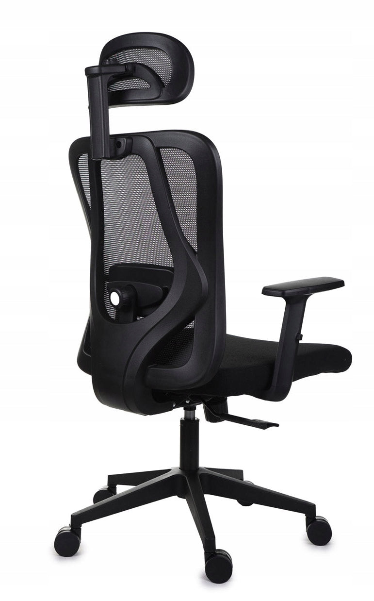 Ergonomiška biuro kėdė FXB004 su reguliuojamais porankiais ir galvos atrama, BHP