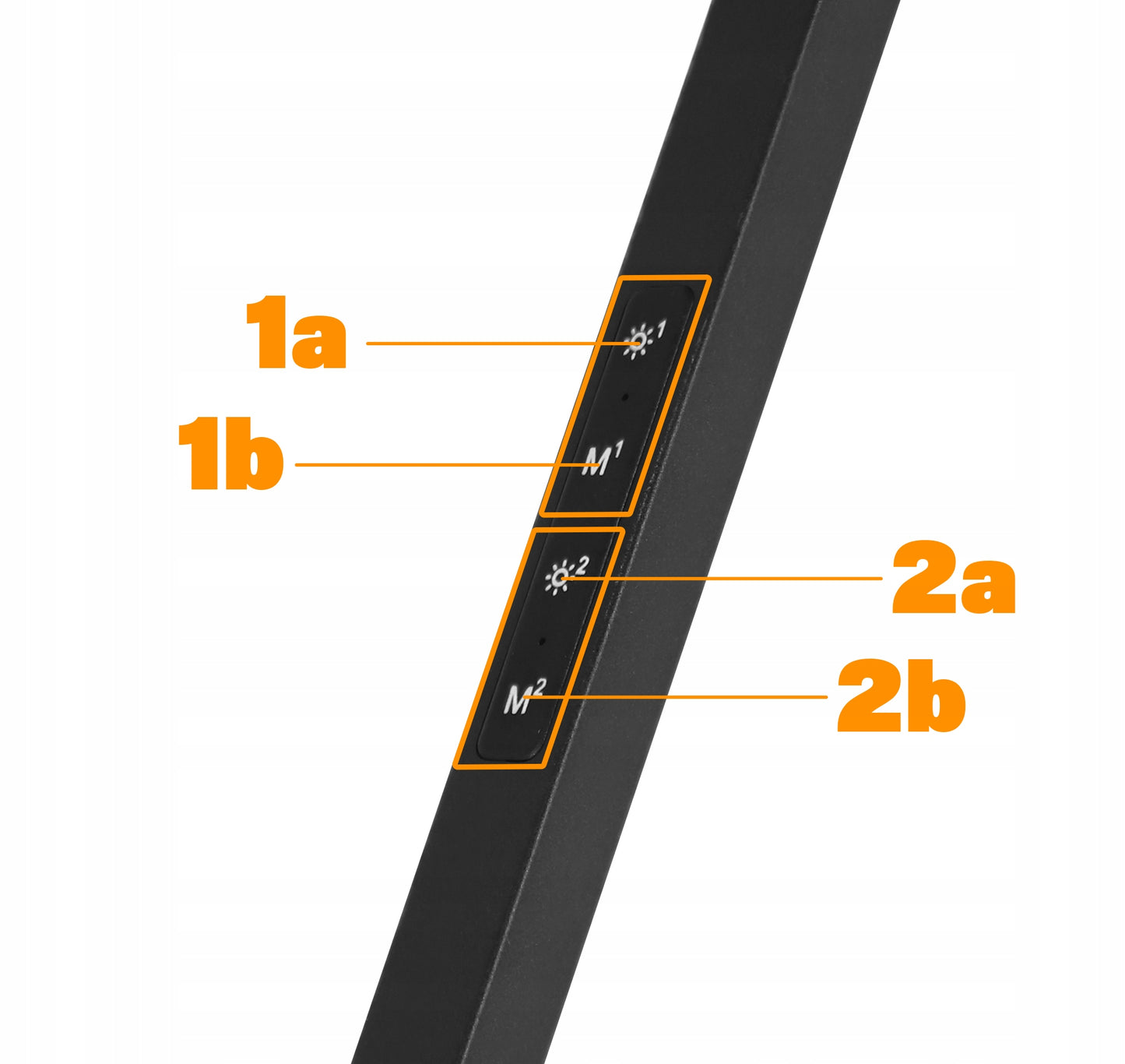 LED stalinė lemputė, mokyklinė, liečiama, bražyboms skirta, reguliuojama, dviguba
