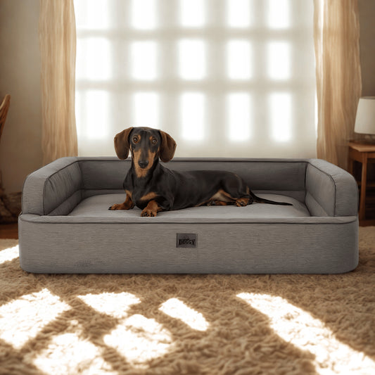 Šuns guolis - sofa, šuns lova - lengvai valomas 96x62 cm
