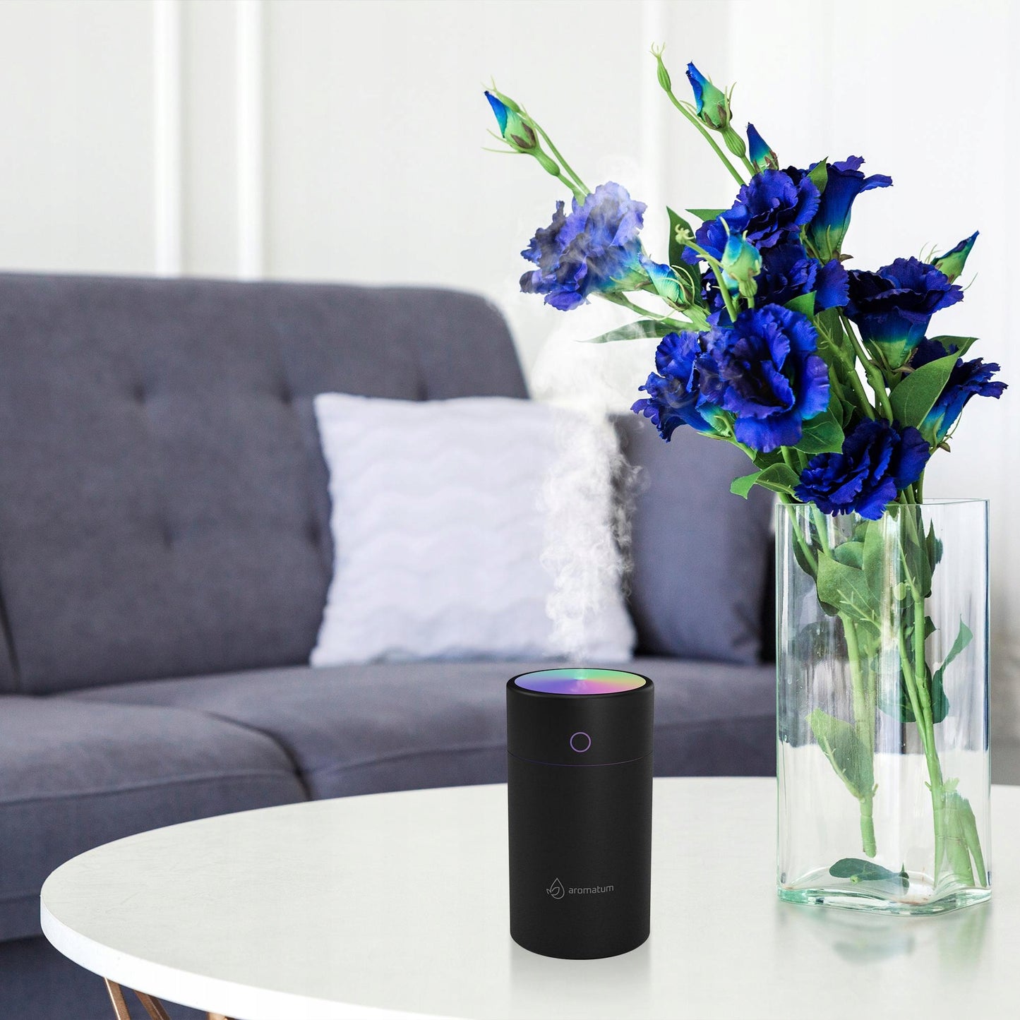 Garinis oro drėkintuvas ir aromato difuzorius