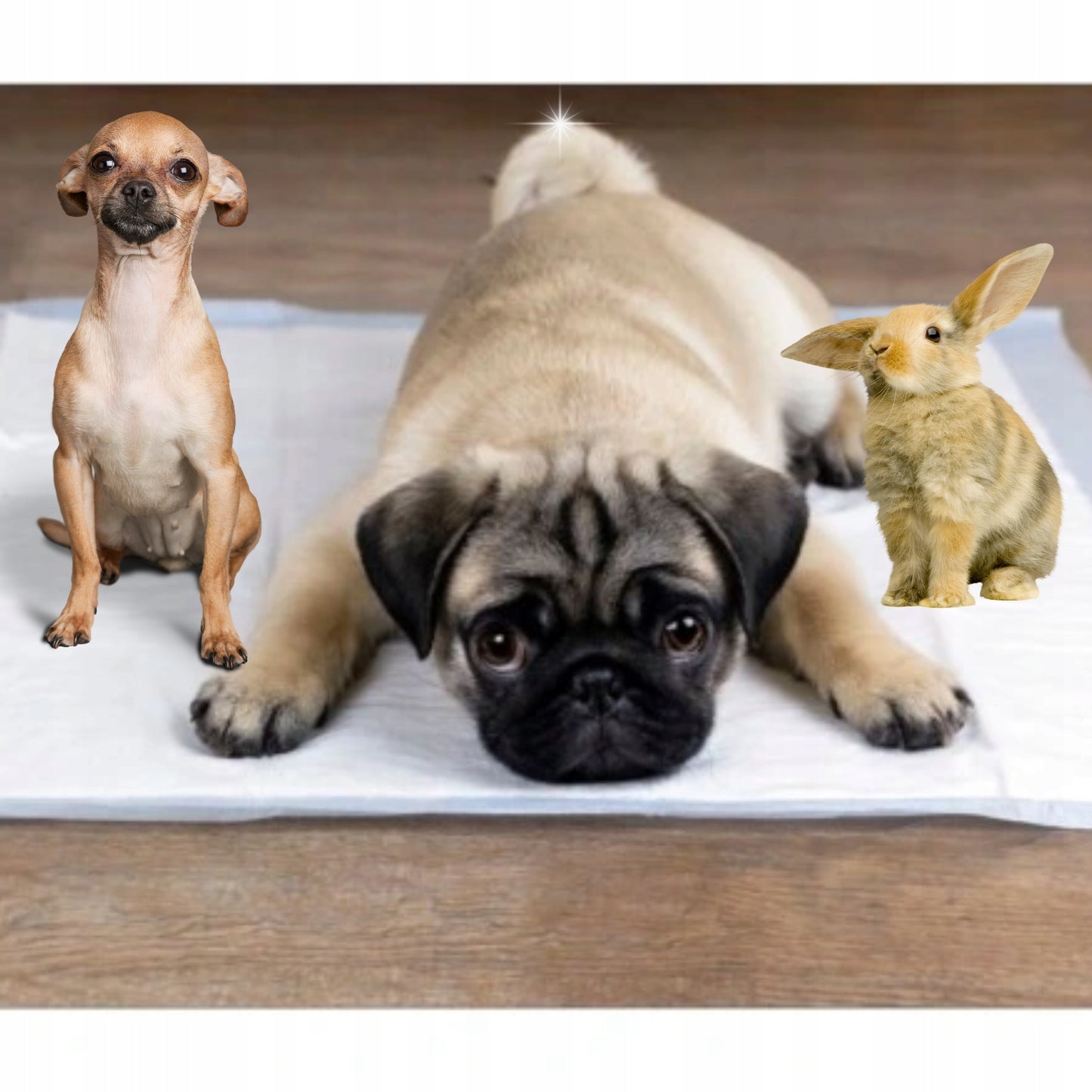 ŠUNŲ PAKLOTĖLIAI Higieniniai Šunų Vienkartiniai Įklotai 60x60 100 vnt.