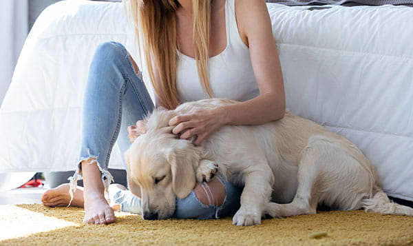 Toshiba CAF-X83XPL oro valytuvas