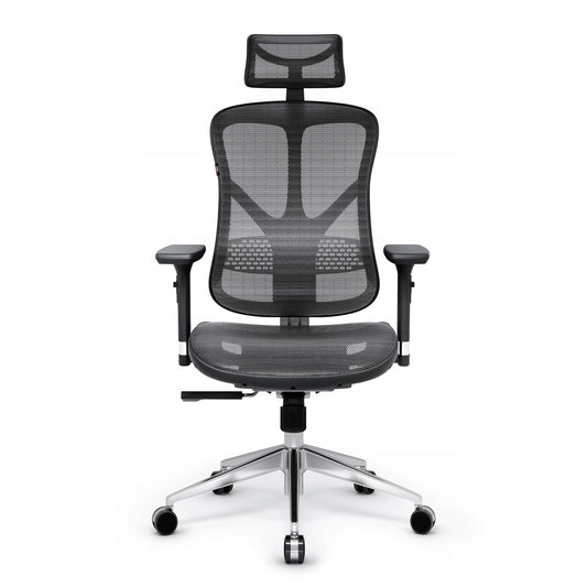 Ergonominė biuro kėdė Diablo V-Basic, juoda-pilka
