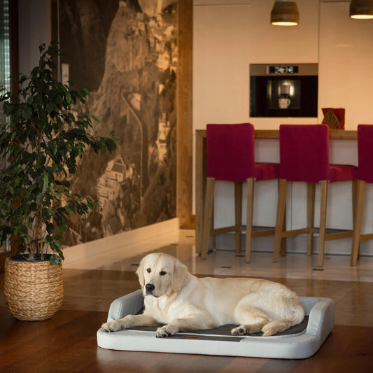 Ortopedinė šuns guolį-sofa – XXL dydis (120 x 80 cm)