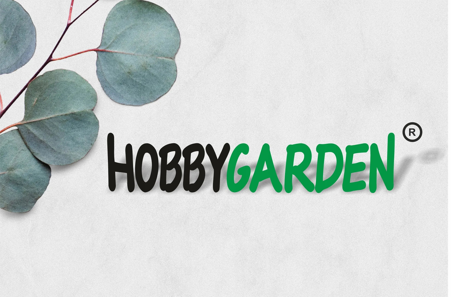 Sodo gultas Hobbygarden Star Light su pagalve ir pakoju