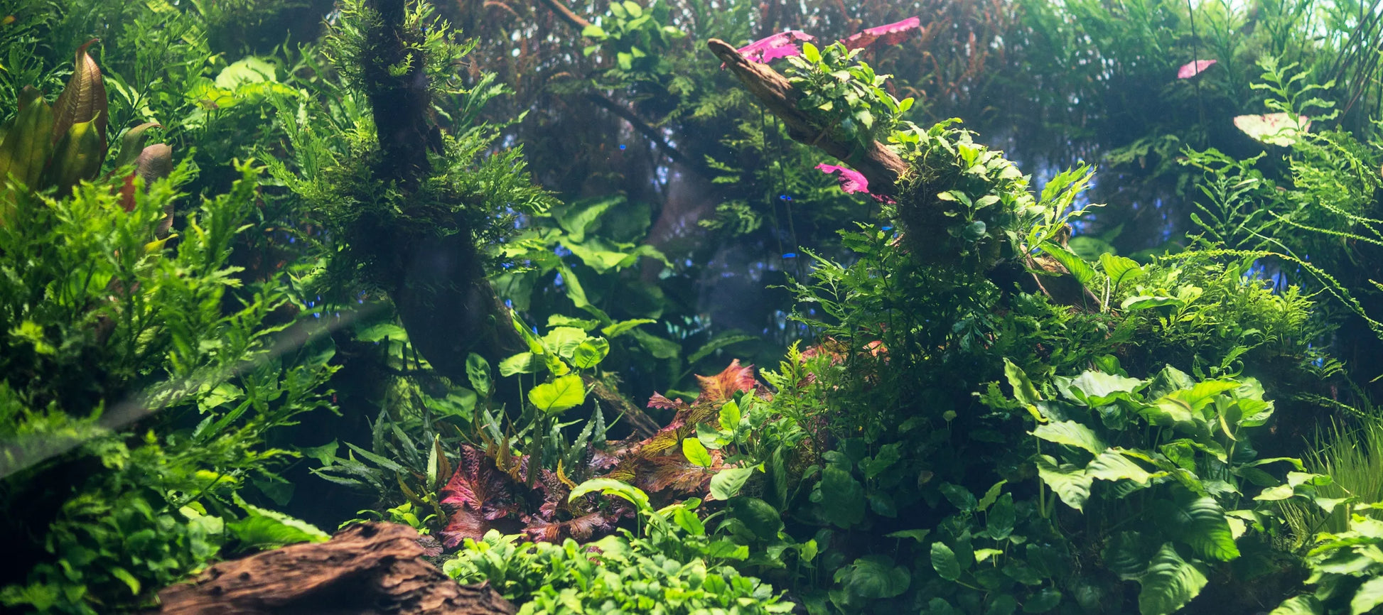 LED apšvietimas akvariumui LED lempa akvariumui NANO SPECTRUM LED JUOSTA
