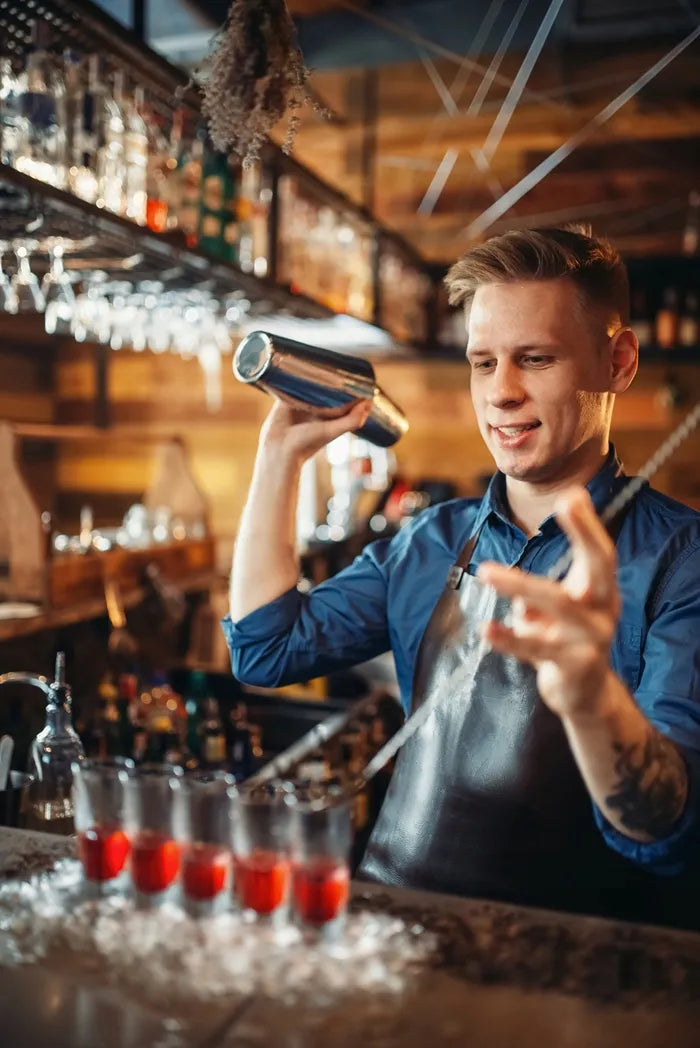 14 dalių baro kokteilių rinkinys su stovu, sidabrinis „Tin on tin“ plaktuvas