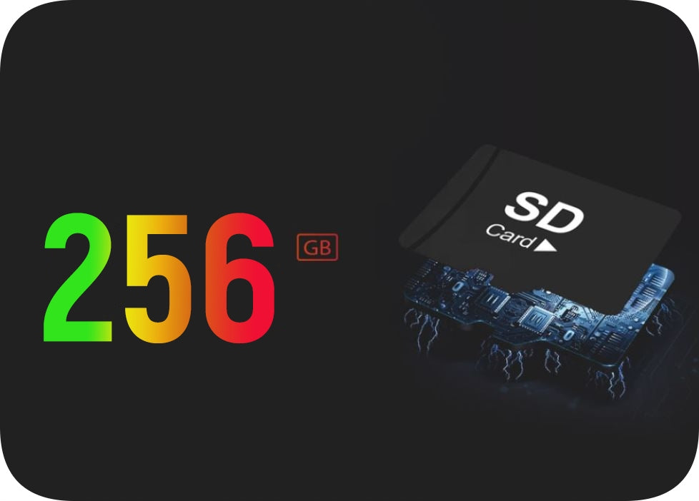 Lauko Pasukama WiFi Kamera 5MPx SU GARSU IR JUDĖSIO APTIKIMU, Metalinė, Juoda, PTZ