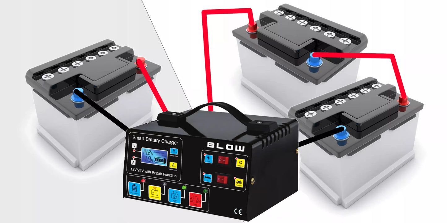 AUTOMATINIS AKUMULIATORIŲ KROVIKLIS SU JŲ TAIISYMO FUNKCIJA 12V 24V