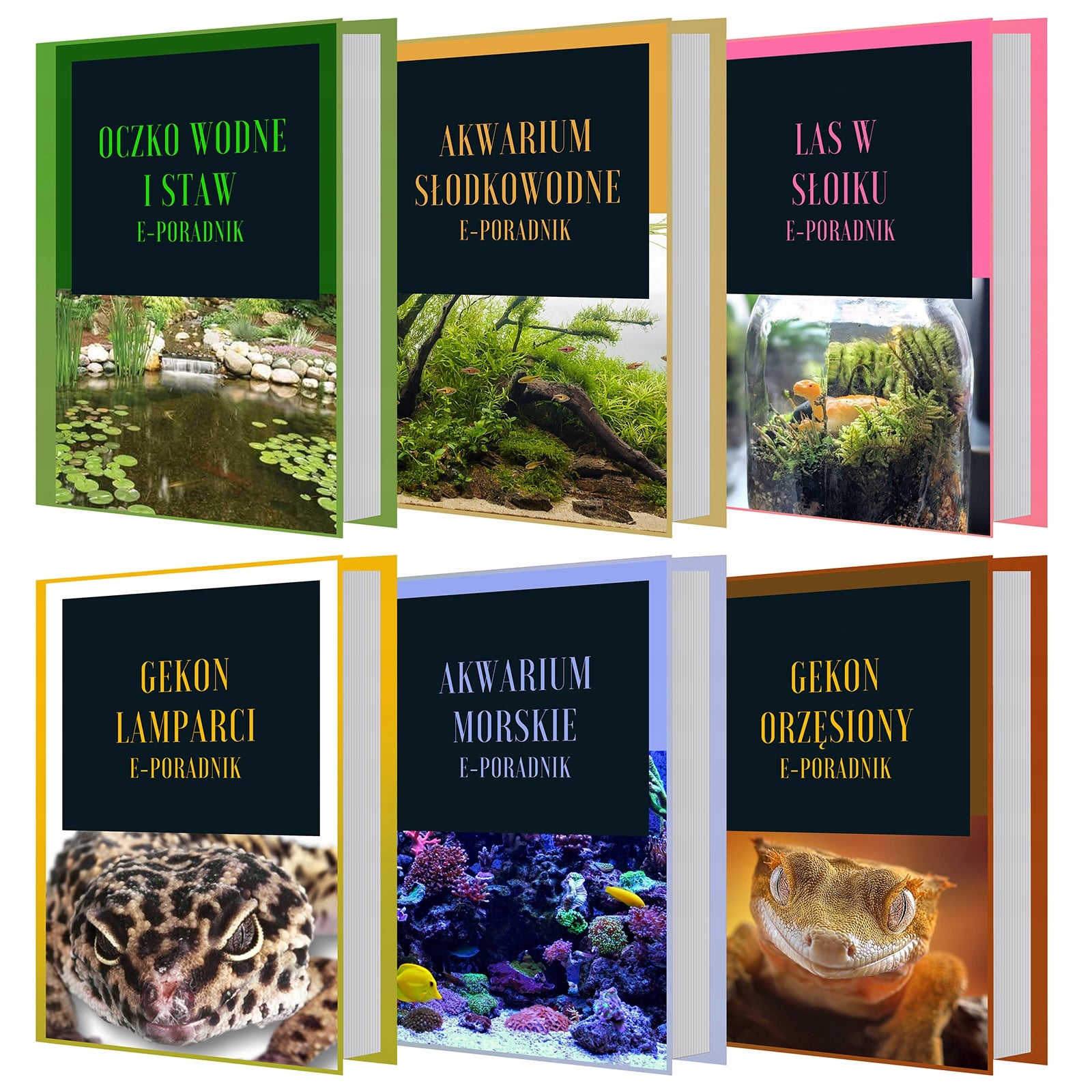 AKVARIUM SU KOMPLEKTACIJA PARUOŠTAS AKVARIUMO RINKINYS 16L BALTAS KRUGER MEIER