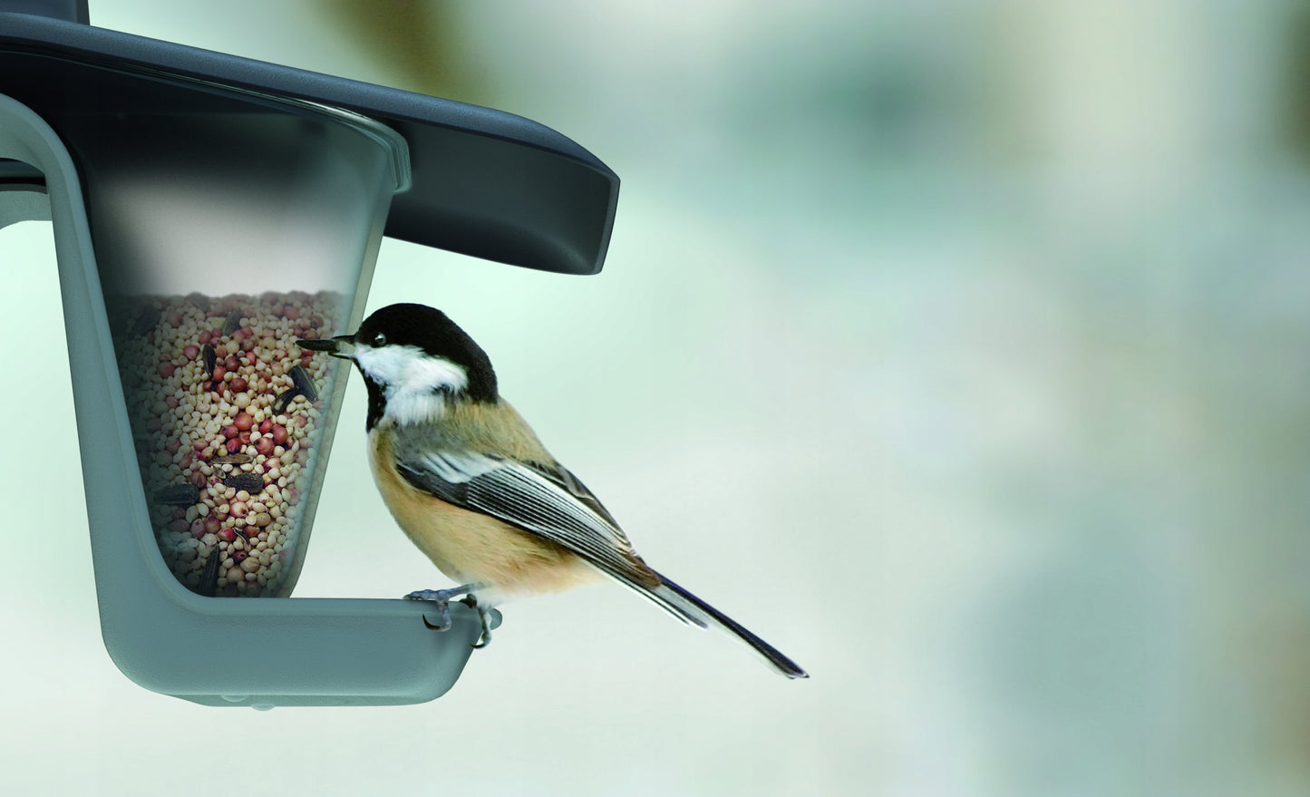 PAUKŠČIŲ LESYKLĖLĖ KABANTIS PLASTIKINIS NAMELIS SKIRTAS GRŪDAMS IR LESALUI SU VIRVELE