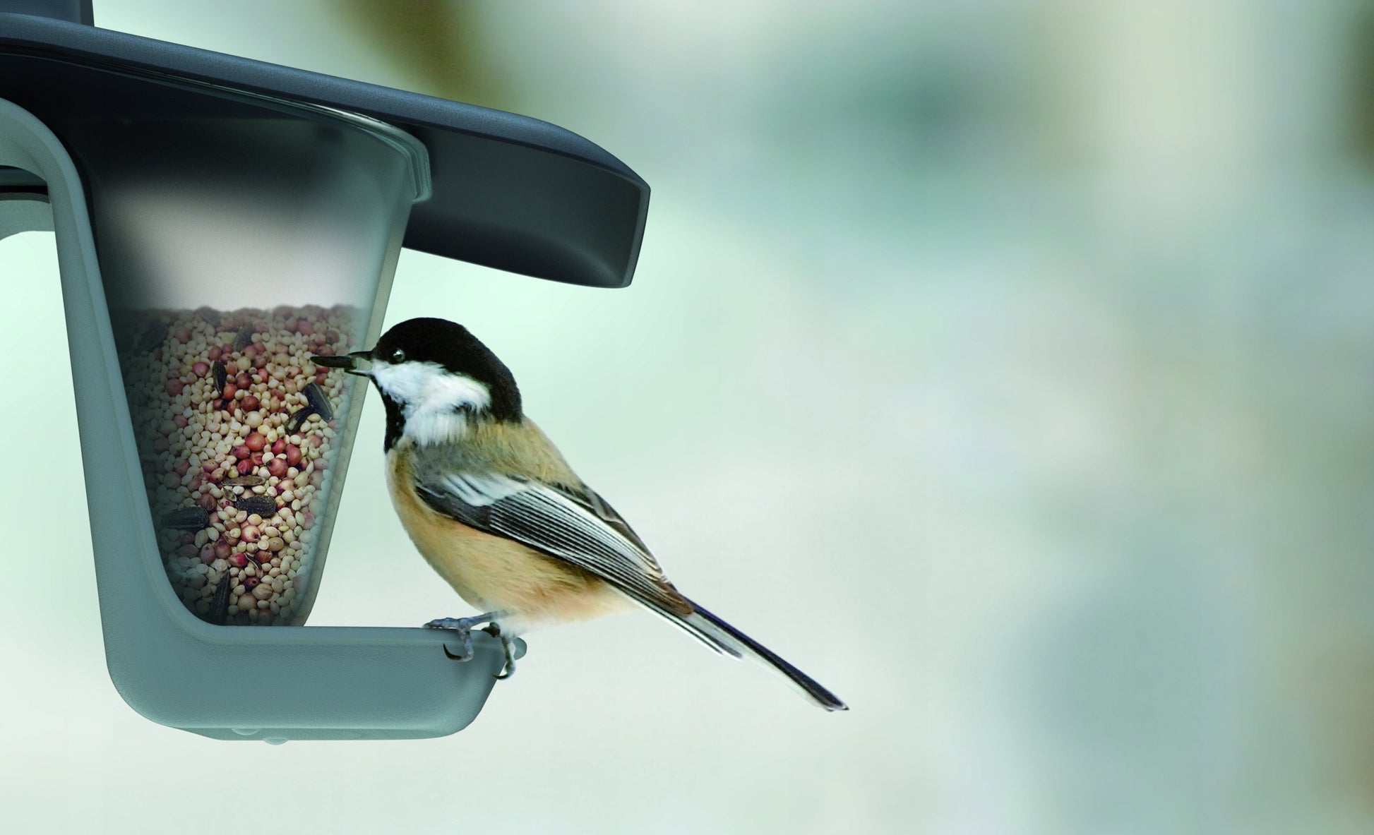 PAUKŠČIŲ LESYKLĖLĖ KABANTIS PLASTIKINIS NAMELIS SKIRTAS GRŪDAMS IR LESALUI SU VIRVELE