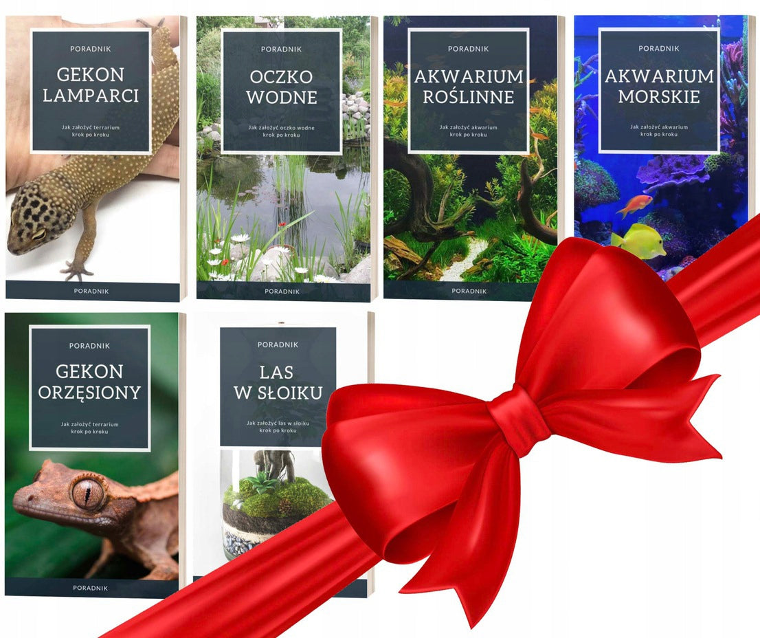 VYSTATE Į ATLAIDAS? JUMS BŪTINAI REIKIA AUTOMATINIO ŽUVŲ LESYKLĖLIO 100ML