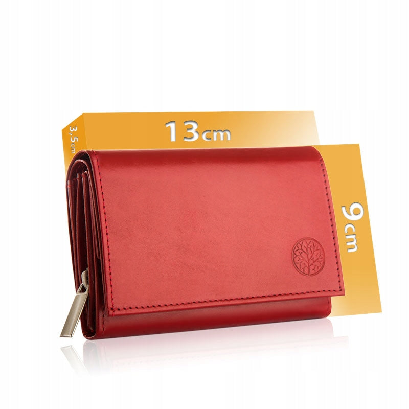 Maža odinė moteriška piniginė kortelėms ir dokumentams, supakuota dėžutėje dovanai Betlewski