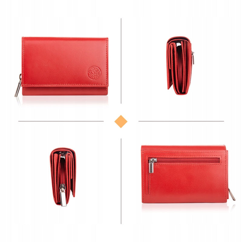 Maža odinė moteriška piniginė kortelėms ir dokumentams, supakuota dėžutėje dovanai Betlewski