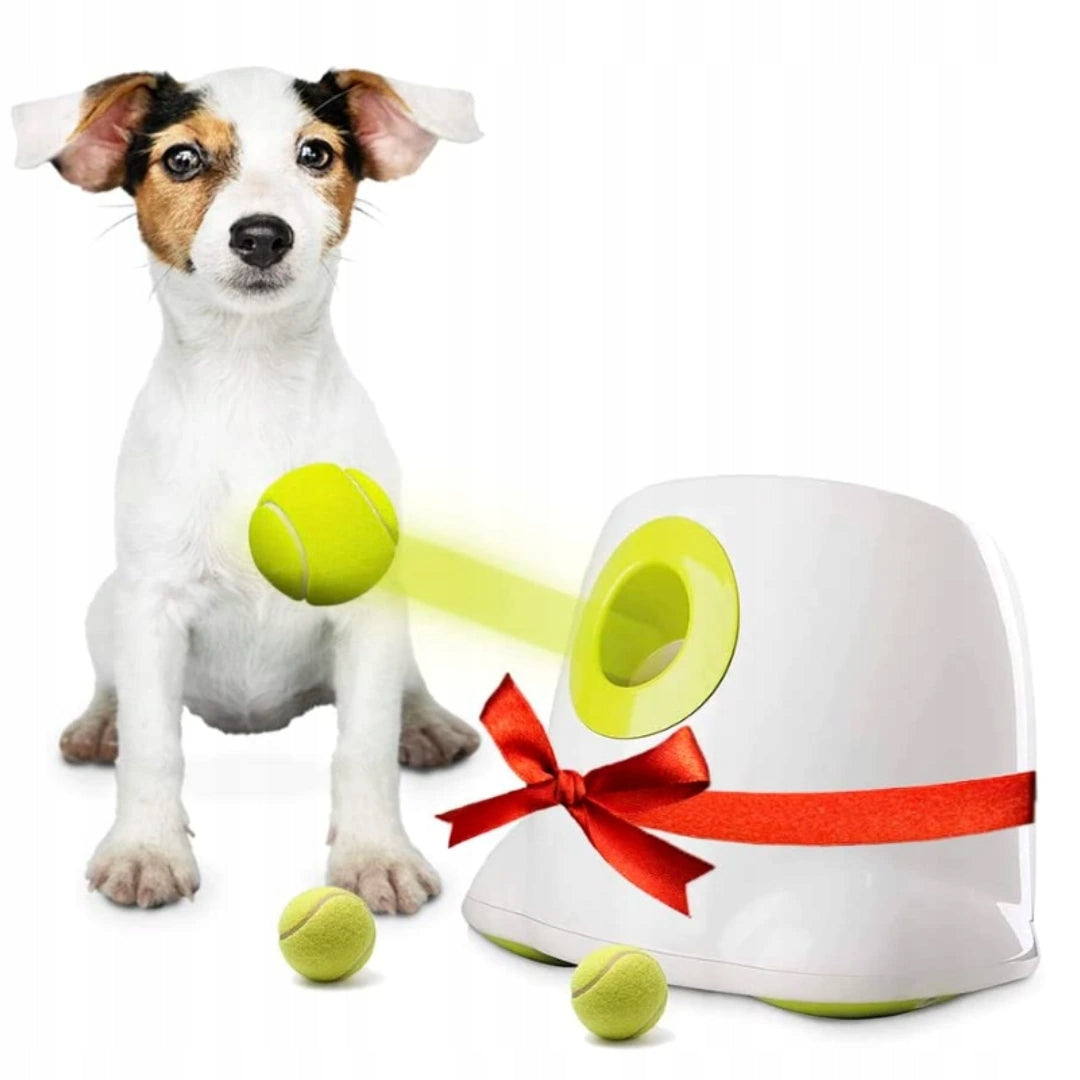 BOT automatinis kamuolių metimo įrenginys šunims L1, kamuoliukai 5 cm