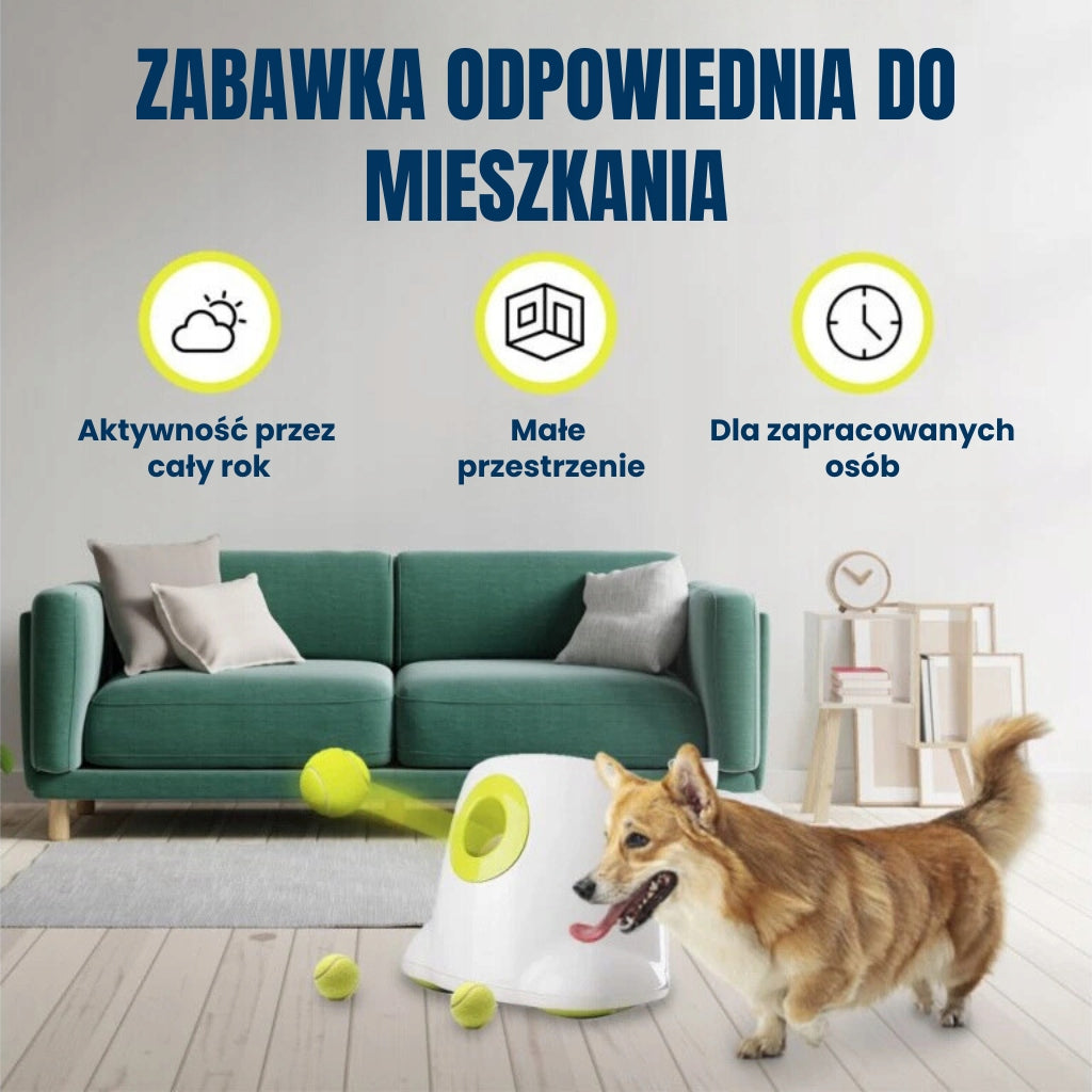 BOT automatinis kamuolių metimo įrenginys šunims L1, kamuoliukai 5 cm