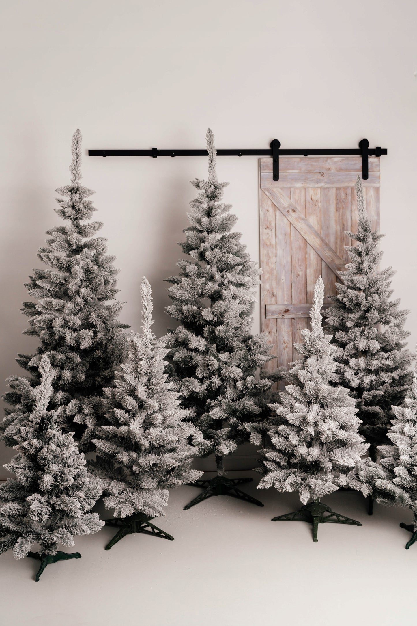 Sniego padengta pušinė eglutė, lyg gyva, 220 cm