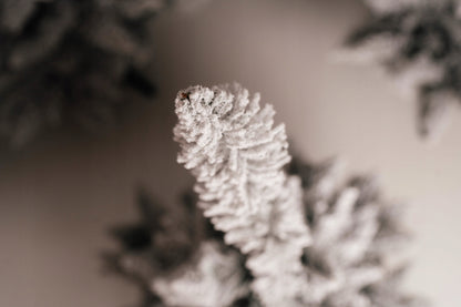 Kalėdinė pušis su sniegu, SNIEGUOTA, kaip gyva, 160 cm, balta, graži