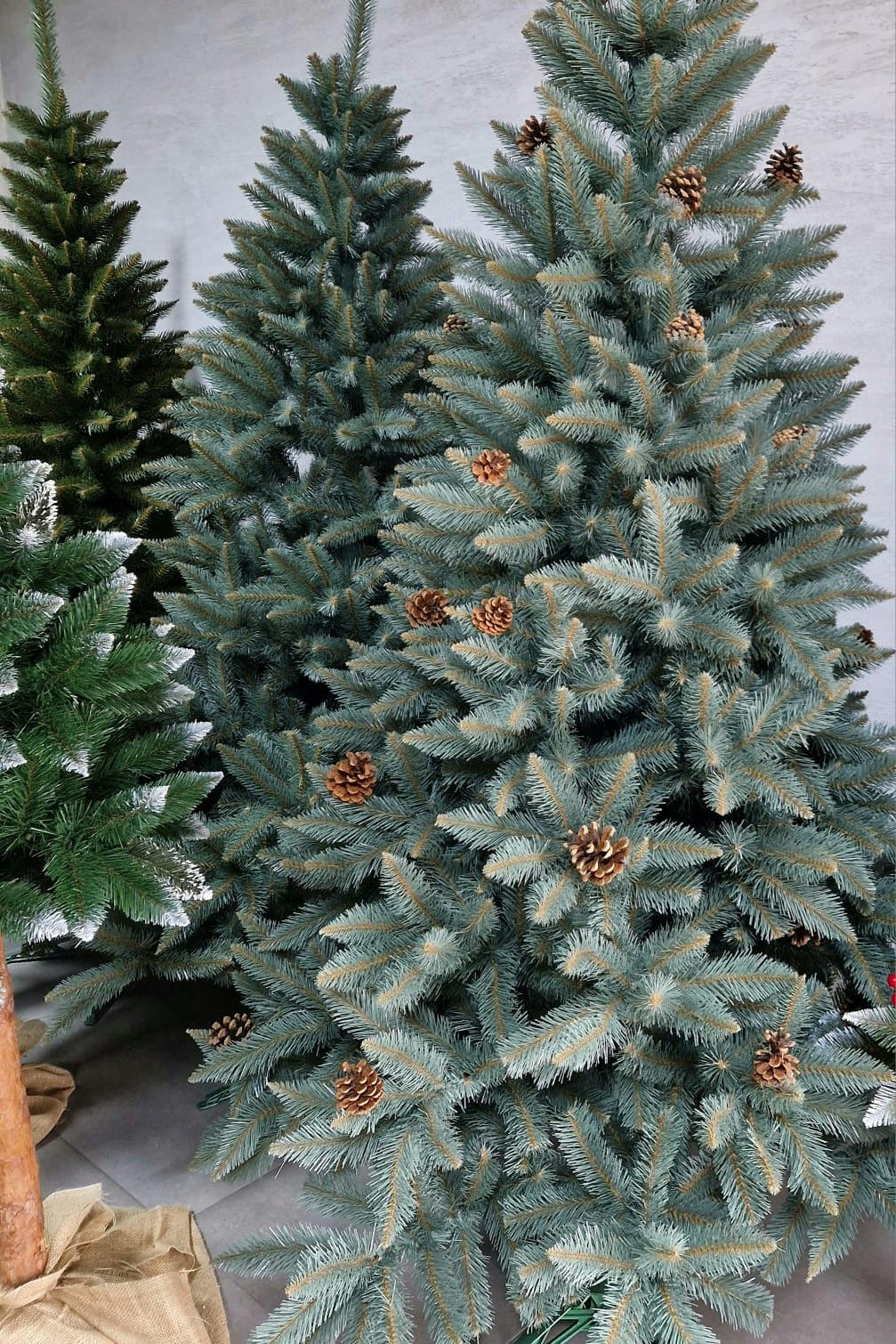 Graži, tanki dirbtinė eglė Sidabrinis eglės modelis su natūraliomis kankorėžiais 220 cm