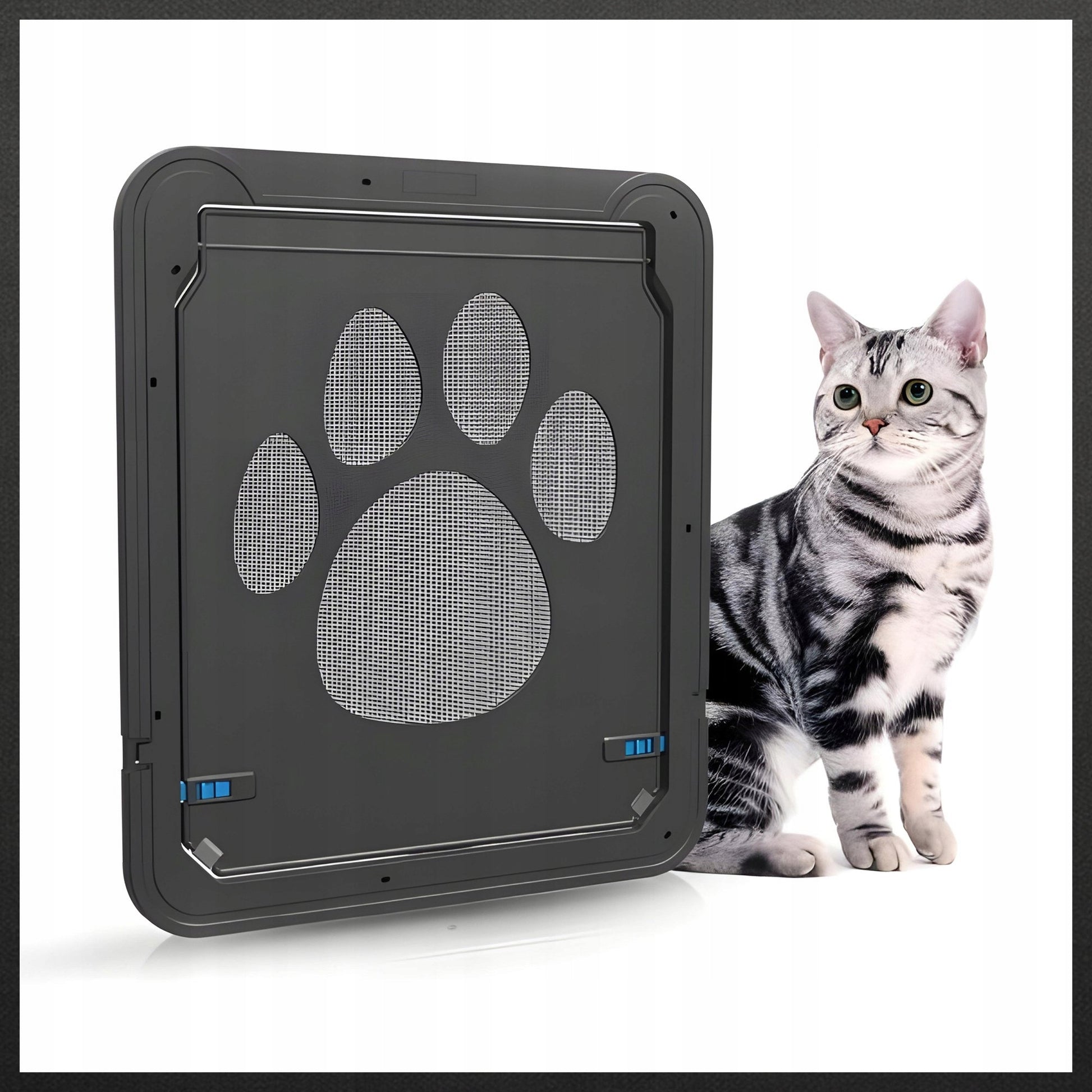 DURKĖS SU SKRAIDYKLĖMIS IR TUNELIU ŠUNIMS KATĖMS