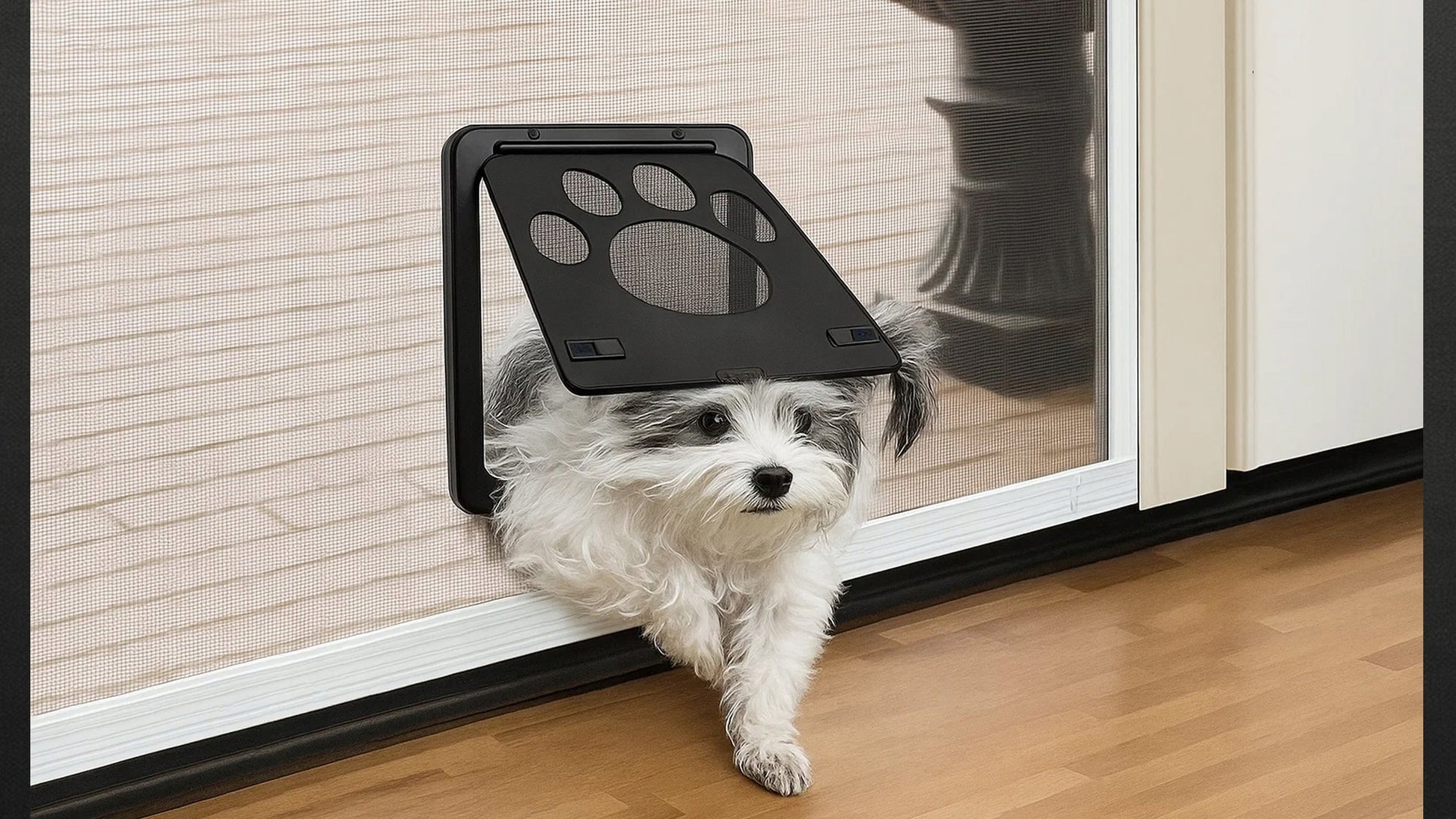 DURKĖS SU SKRAIDYKLĖMIS IR TUNELIU ŠUNIMS KATĖMS