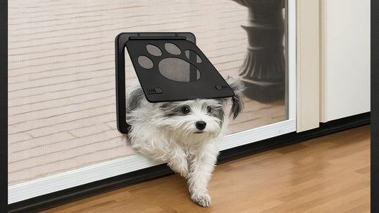 DURKĖS SU SKRAIDYKLĖMIS IR TUNELIU ŠUNIMS KATĖMS