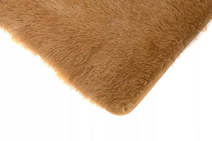 PLIUŠINIS KILIMĖLIS SHAGGY 200x300 MINKŠTAS PURUS
