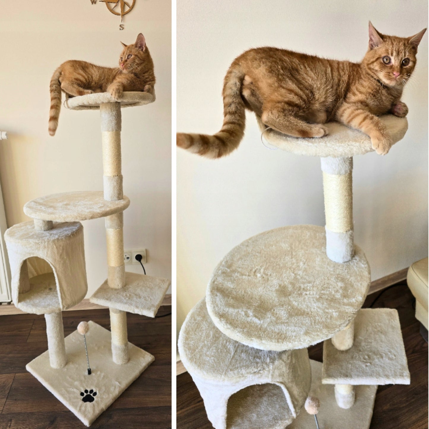 TomiDomi Katės draskyklė smėlio spalvos 116cm, 5 lygiai, namelis, bokštelis, kamuoliukai