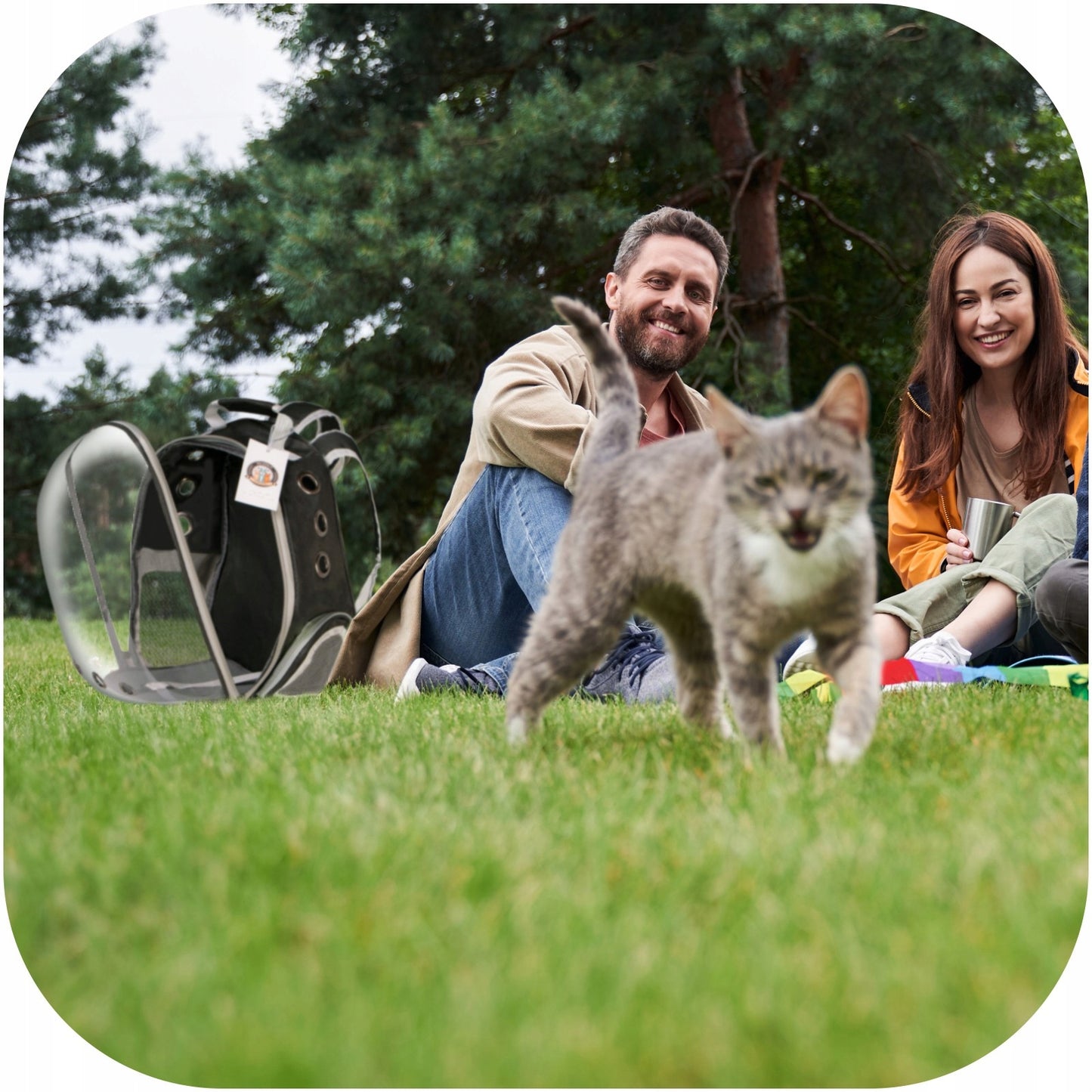 ELEGANTIŠKA KATĖS IR ŠUNŲ KUO TINĖ-TRANSPORTERIS SU PILNAI ATSIDARANČIU ATVERČIAMU DANGČIU