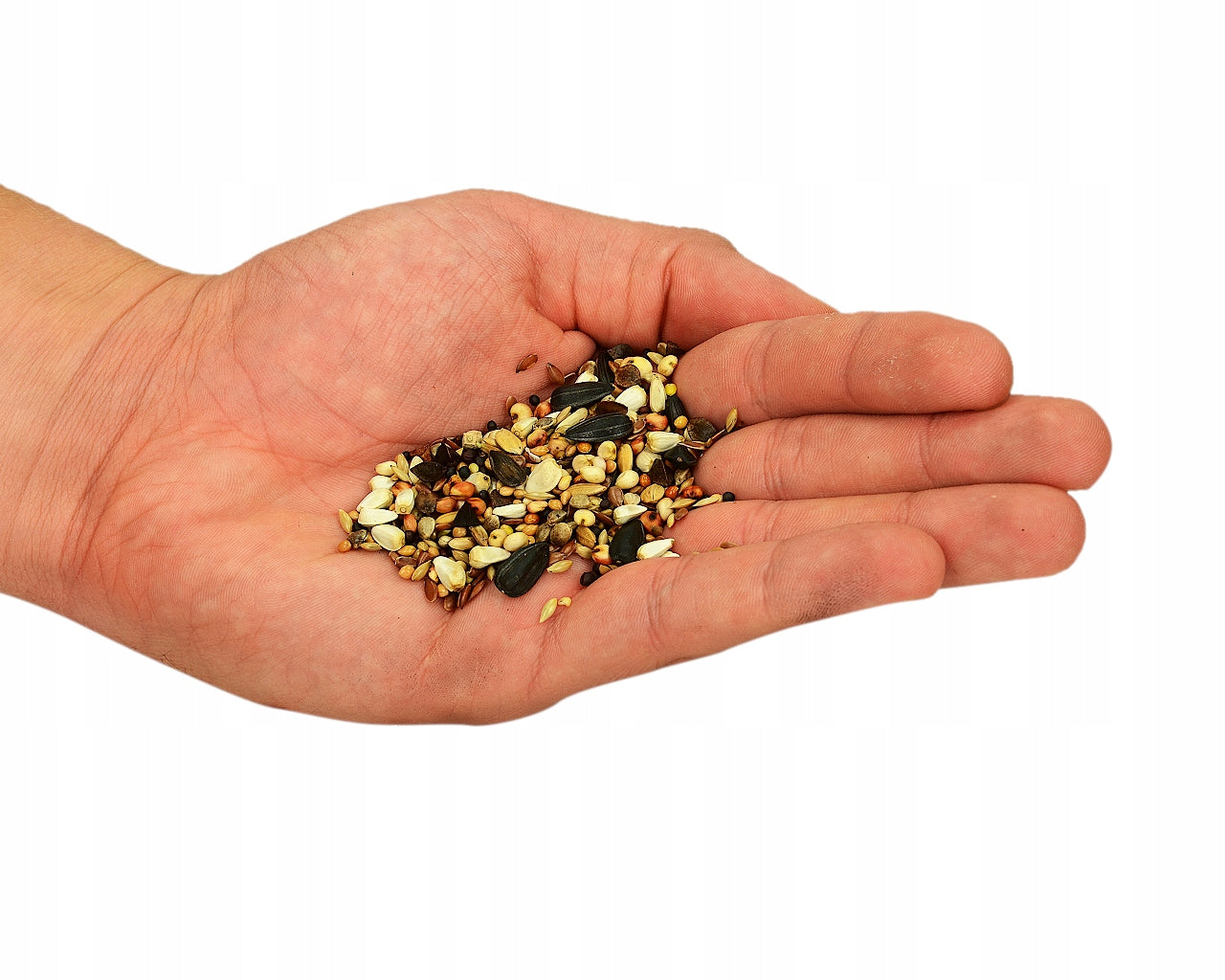 Automatinis tiektuvas 1L TRIXIE talpus, talpa grūdams paukščiams, patvarus