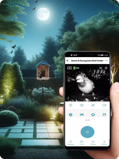 PAUKŠČIŲ LESYKLA SU WIFI ir HD KAMERA, paukščių atpažinimas, atsparus vandeniui