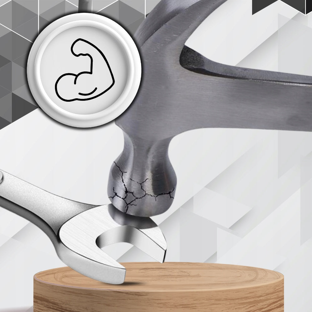 Žiediniai-atsukami veržliarakčiai 8-24, plokščių veržliarakčių komplektas 14 elementų, dėklas