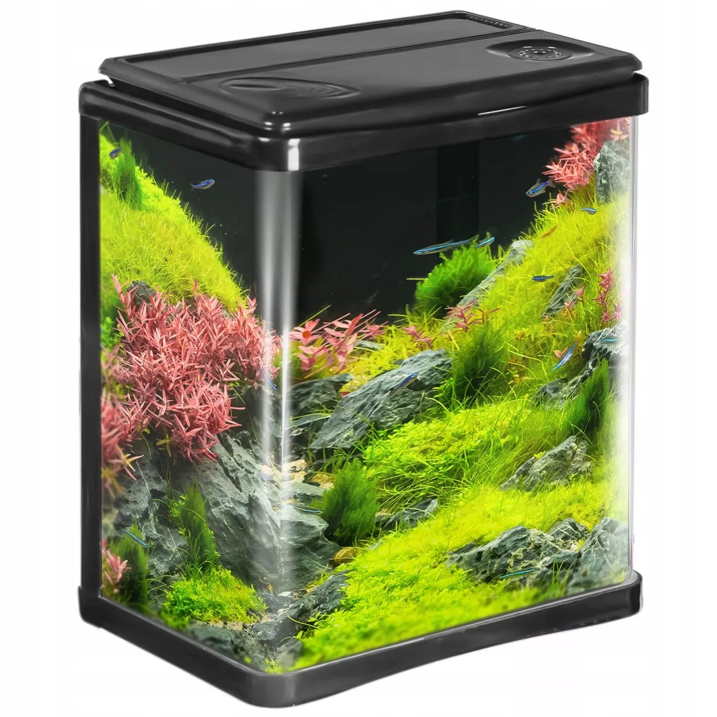 PILNAS MODERNUS AKVARIUMAS 3L JUODAS SU LED IR FILTRU TVIRTAS STIKLINIS