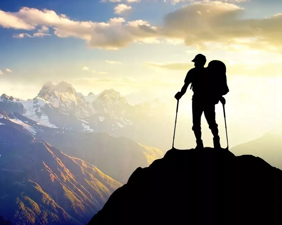 NORDIC WALKING TREKKINGOWE lazdai vaikščioti REGULIUOJAMI Komplektas 2 vnt.