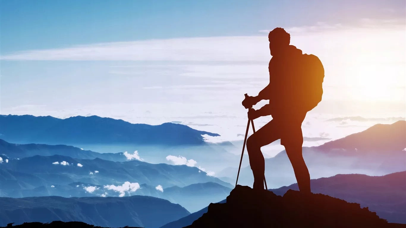 NORDIC WALKING TREKKINGOWE lazdai vaikščioti REGULIUOJAMI Komplektas 2 vnt.