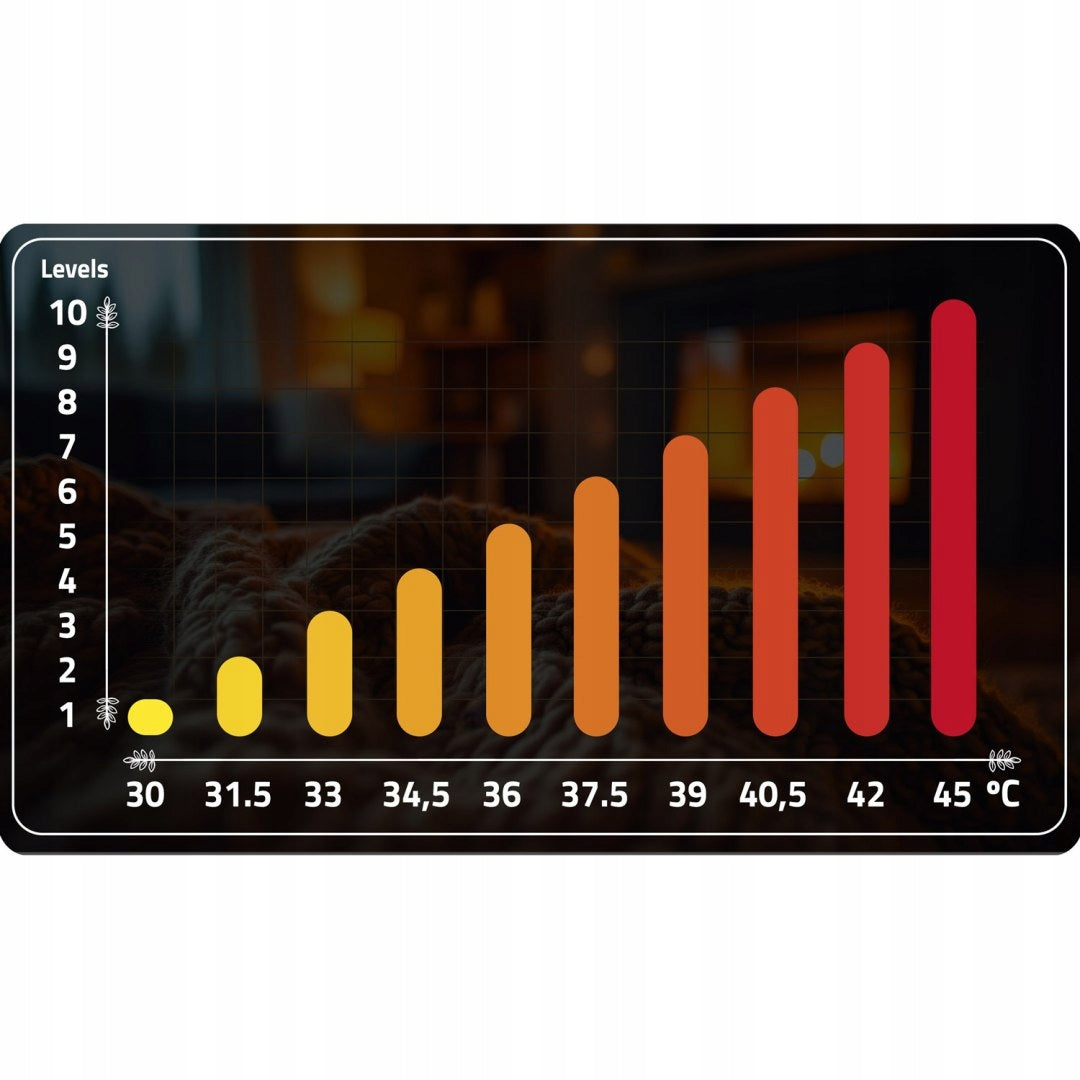 Elektrinė antklodė 180 x 160 cm Berdsen BD-962