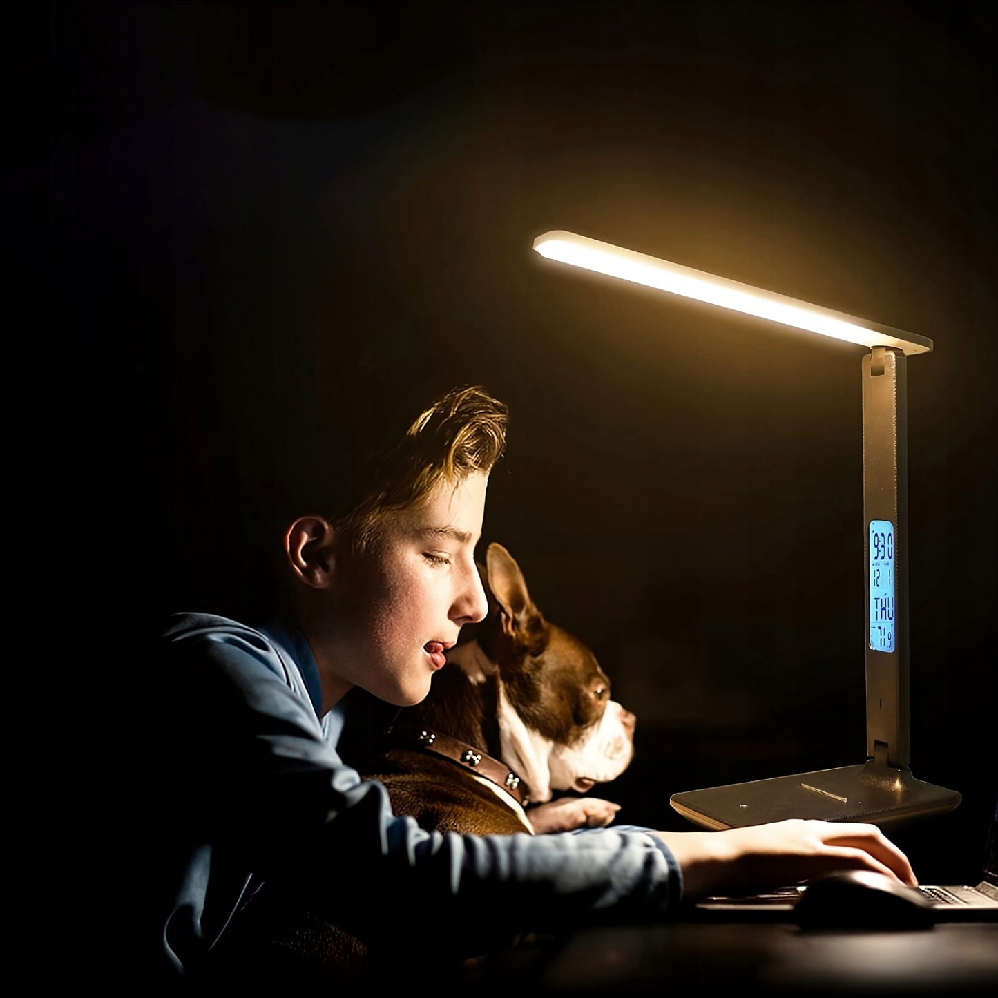 LED stalinė lempa su LCD ekranu, USB įkrovimu, reguliuojama, idealiai tinkanti mokyklai ar biurui