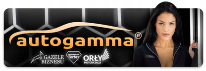 LED lempa Panelė Garažui, Dirbtuvei, Namams HEXAGON 297x307 5500-6000K