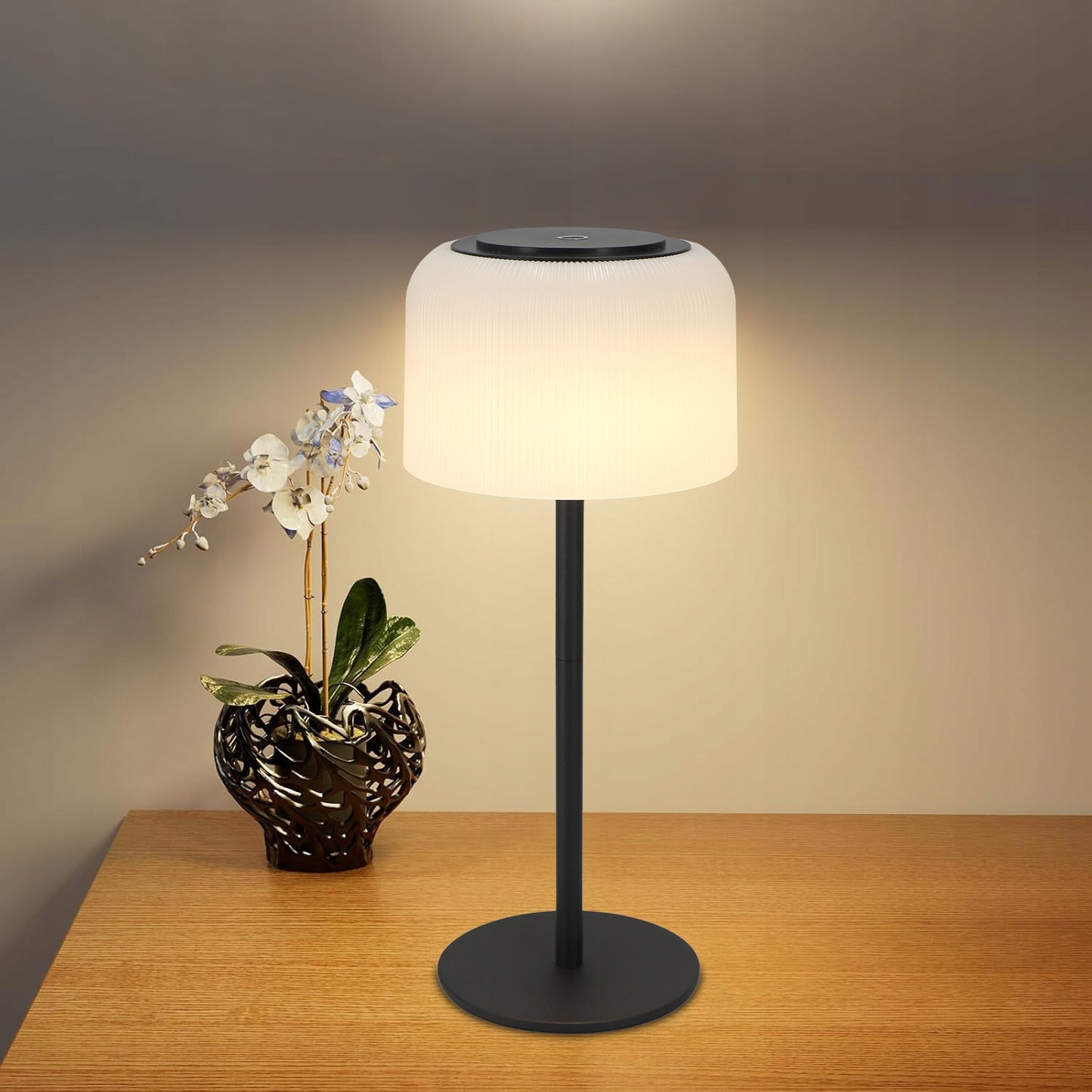 LED stalinė lemputė su lietimu, įkraunama, su pritemdikliu ir 3 spalvomis sodui