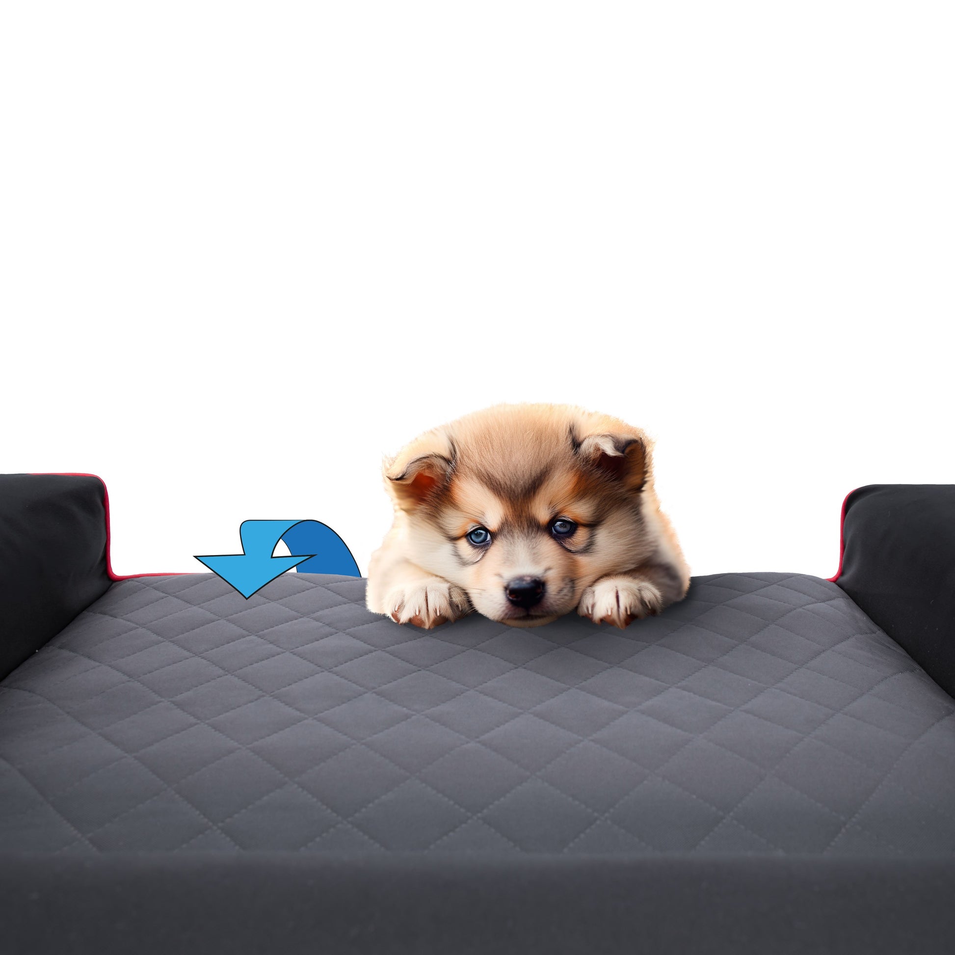 Šuns lova, Sofa Vandeniui atspari Nuimamas užvalkalas XL 100x65 cm