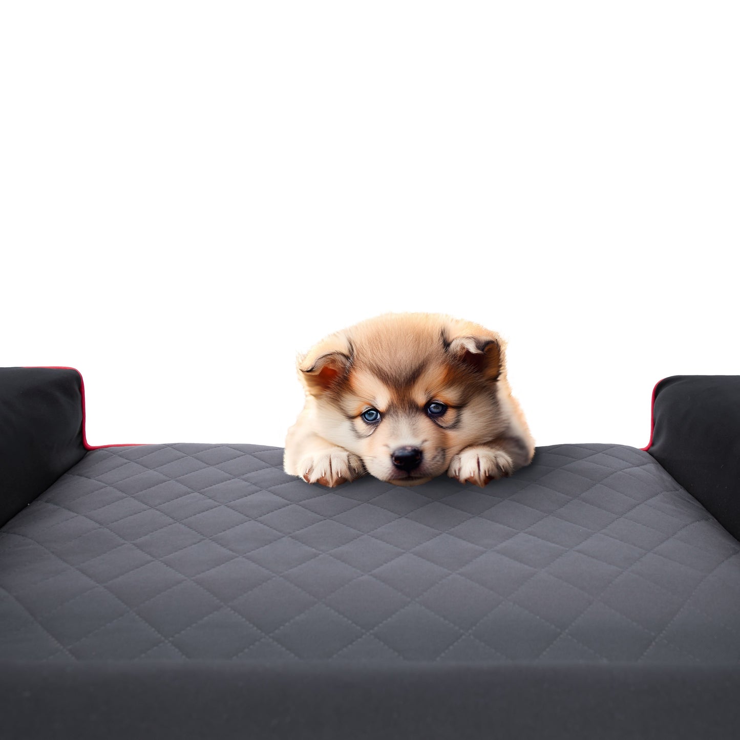 Šuns lova, Sofa Vandeniui atspari Nuimamas užvalkalas XL 100x65 cm