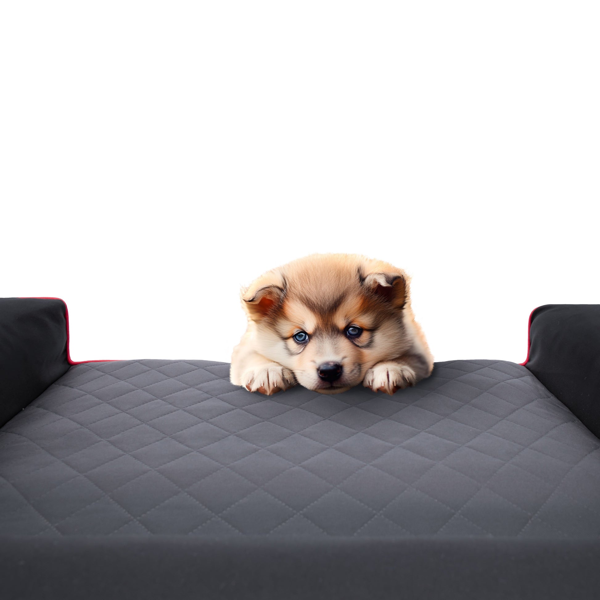 Šuns lova, Sofa Vandeniui atspari Nuimamas užvalkalas XL 100x65 cm