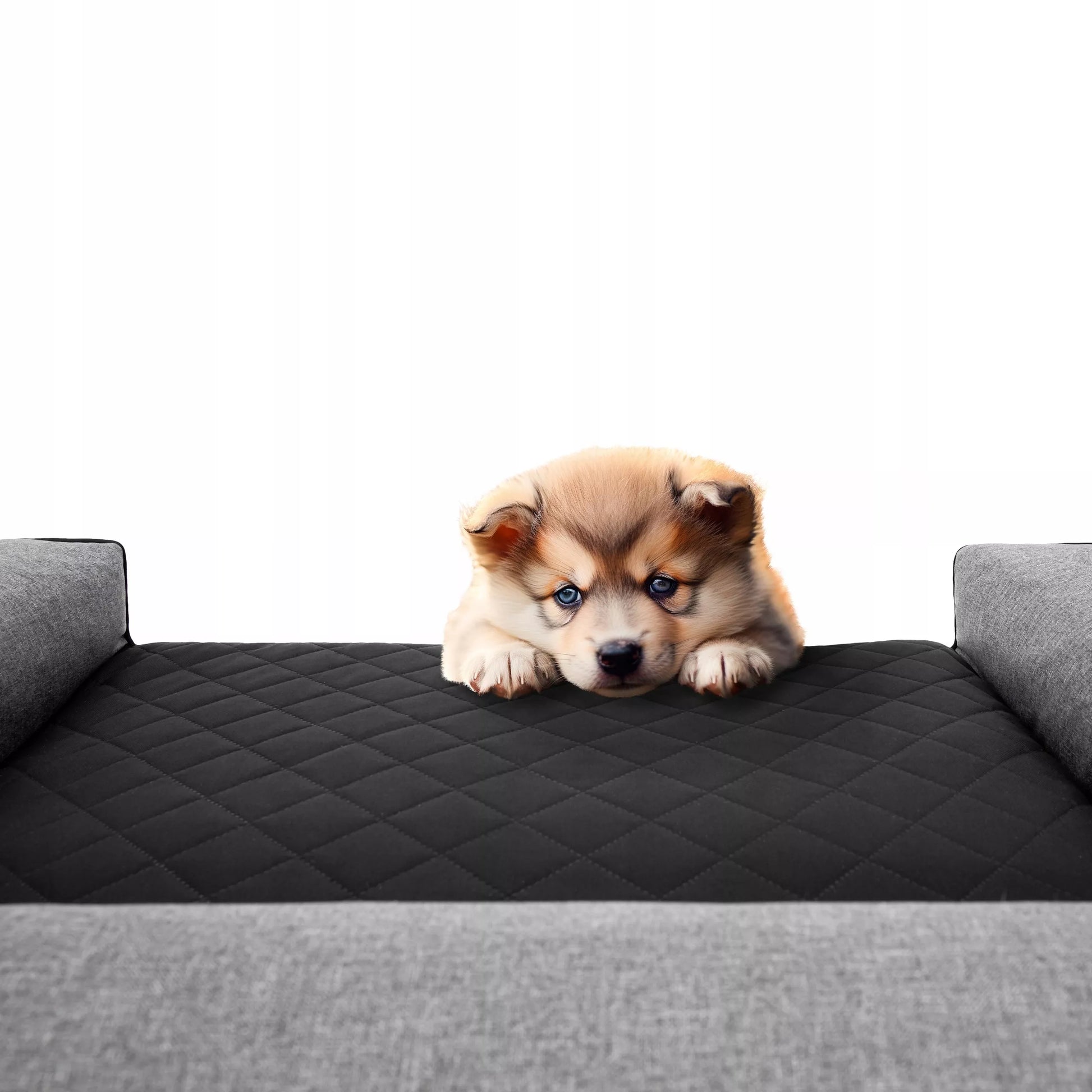 Šuns gultas, sofa, neperšlampamas, nuimamas užvalkalas, XXL 118x78 cm