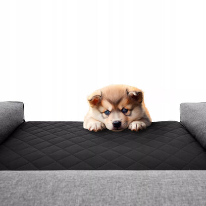 Šuns gultas, sofa, neperšlampamas, nuimamas užvalkalas, XXL 118x78 cm
